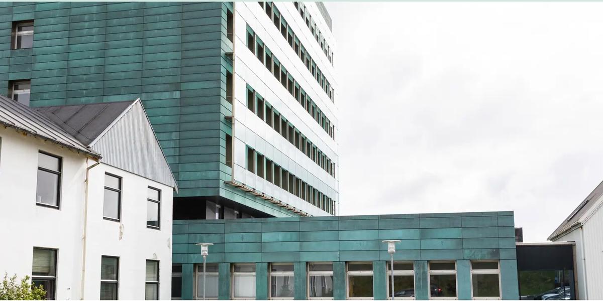 Sjúkrahúsverkið