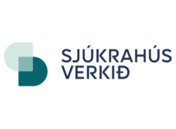 Sjúkrahúsverkið